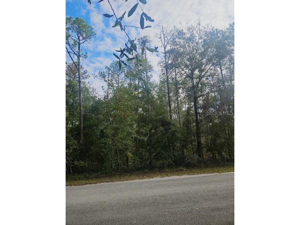 Southwest 206th Court Rd Dunnellon FL 34431 S5115141 image8