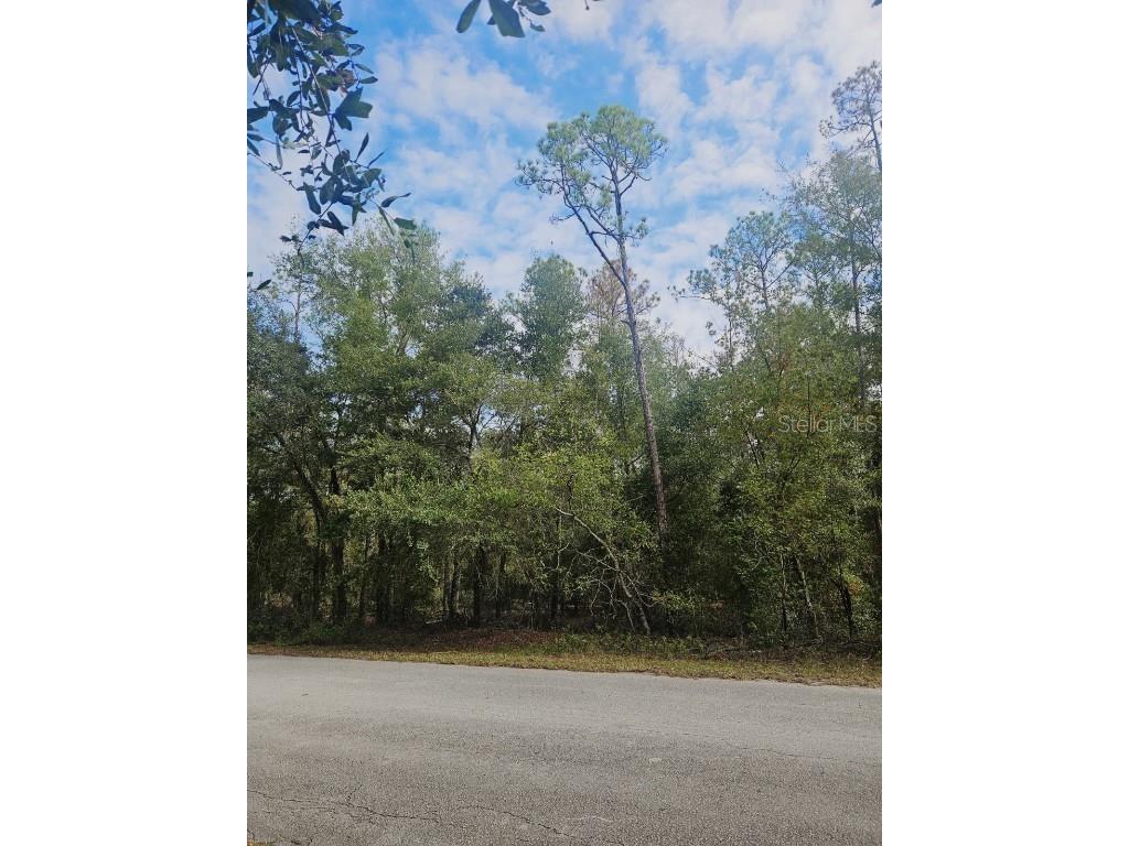 Southwest 206th Court Rd Dunnellon FL 34431 S5115141 image9