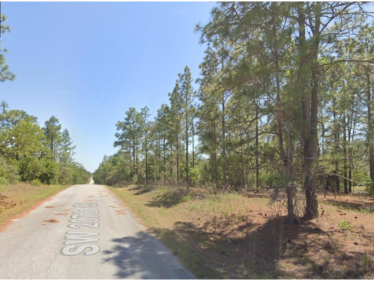 Southwest 207th Court Dunnellon FL 34431 S5150161 image1