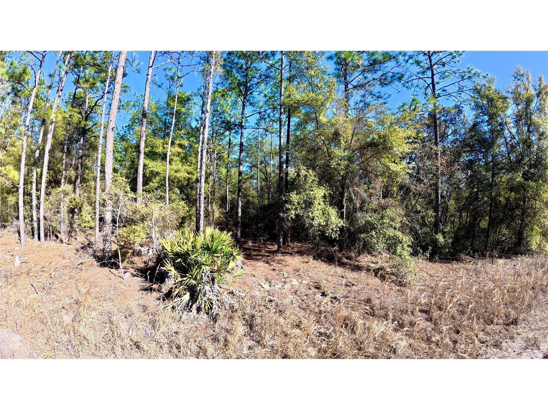Southwest 38th Place Ocala FL 34481 O6382596 image1
