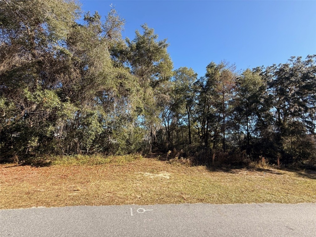 Southwest 43 Ave Ocala FL 34473 O6367849 image5