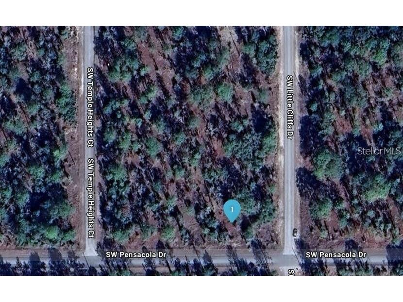 Southwest Pensacola Drive Dunnellon FL 34431 S5150547 image1