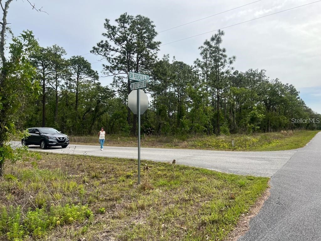 Southwest Pensacola Drive Dunnellon FL 34431 S5150547 image10