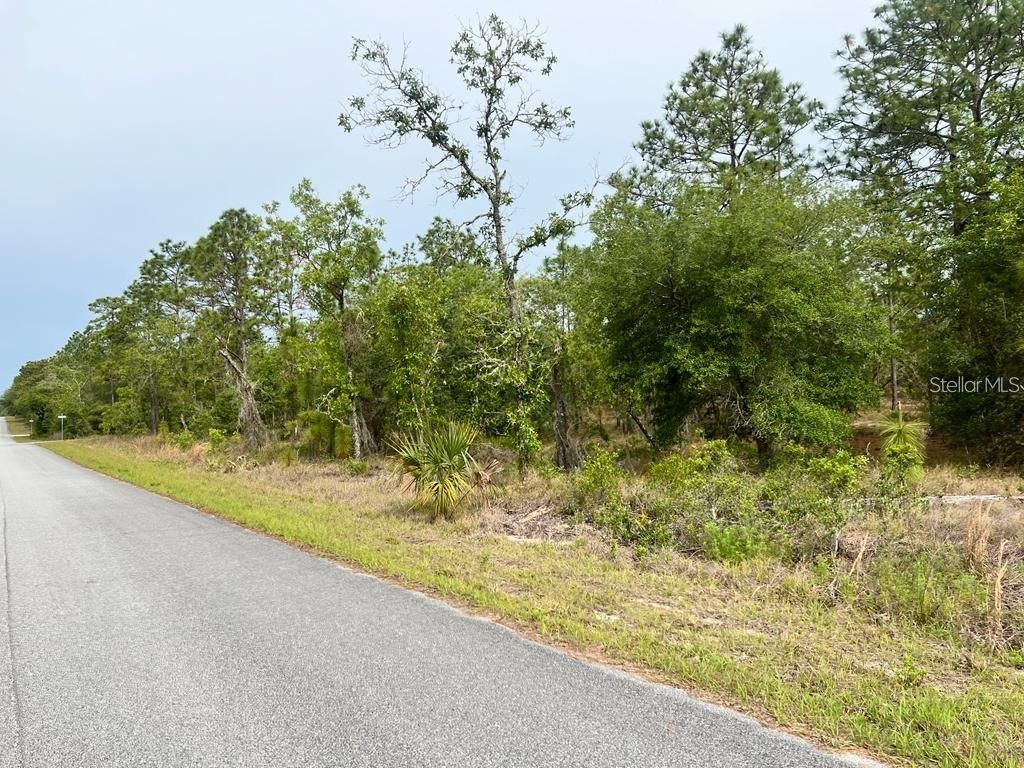 Southwest Pensacola Drive Dunnellon FL 34431 S5150547 image11