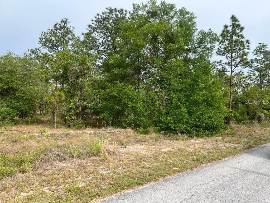 Southwest Pensacola Drive Dunnellon FL 34431 S5150547 image12