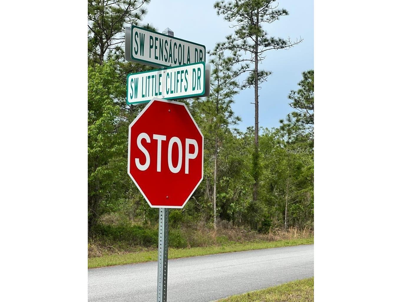 Southwest Pensacola Drive Dunnellon FL 34431 S5150547 image2
