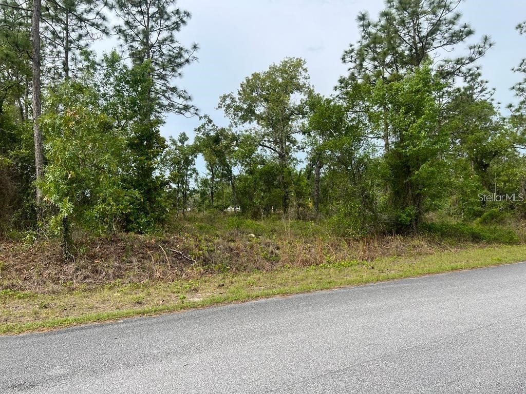 Southwest Pensacola Drive Dunnellon FL 34431 S5150547 image3