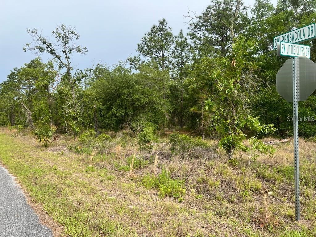 Southwest Pensacola Drive Dunnellon FL 34431 S5150547 image4
