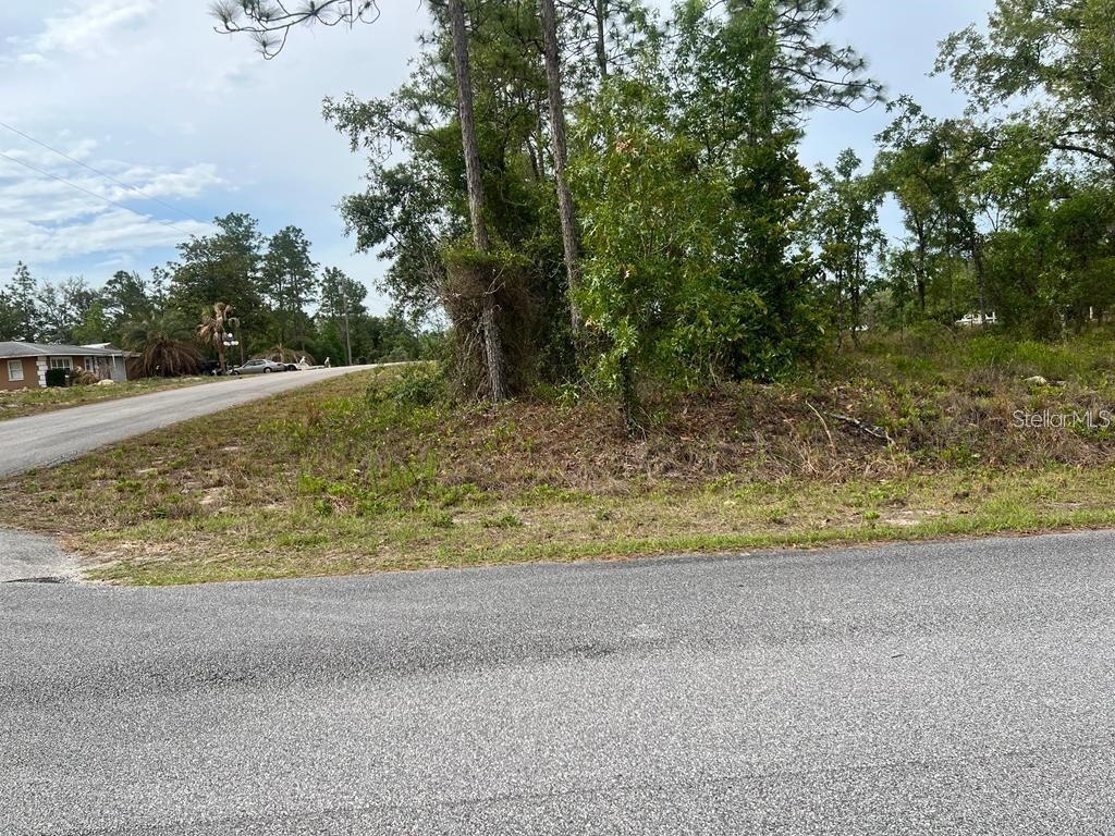Southwest Pensacola Drive Dunnellon FL 34431 S5150547 image5