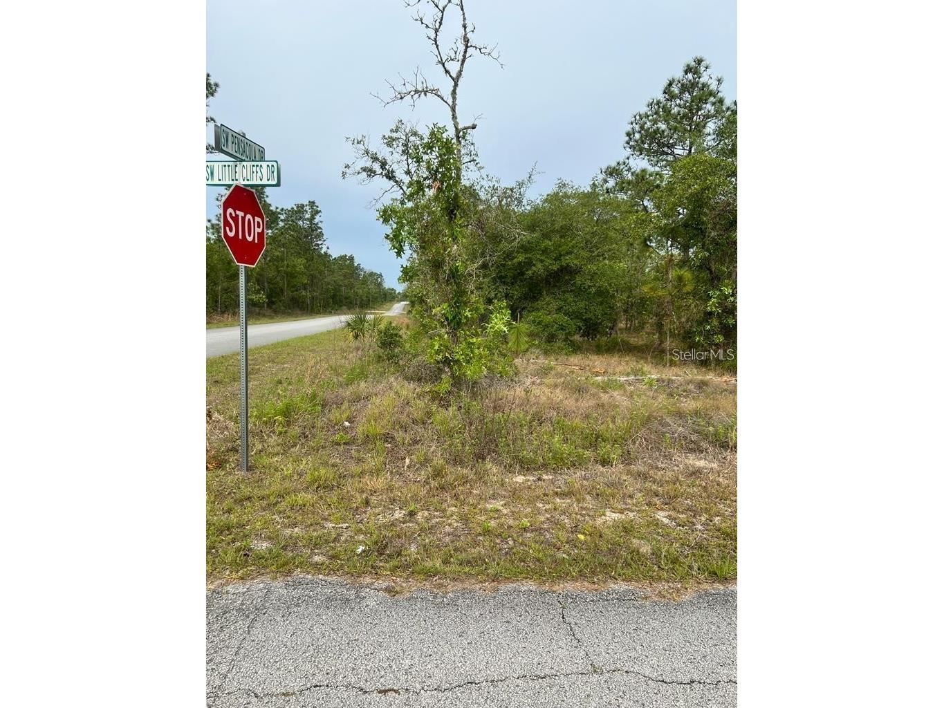 Southwest Pensacola Drive Dunnellon FL 34431 S5150547 image6