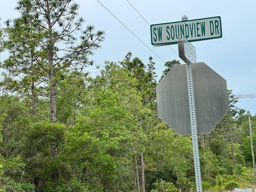 Southwest Pensacola Drive Dunnellon FL 34431 S5150547 image9