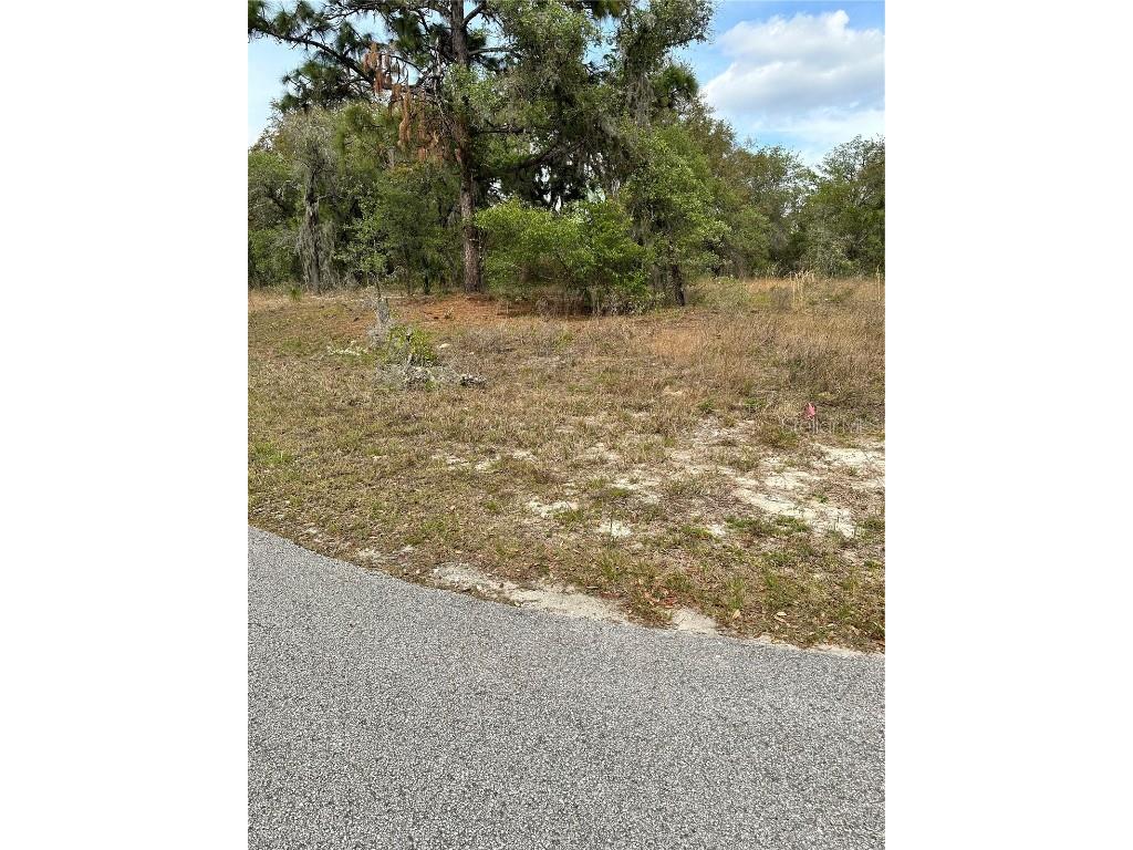 Southwest Rainelle Road Dunnellon FL 34431 O6102123 image1