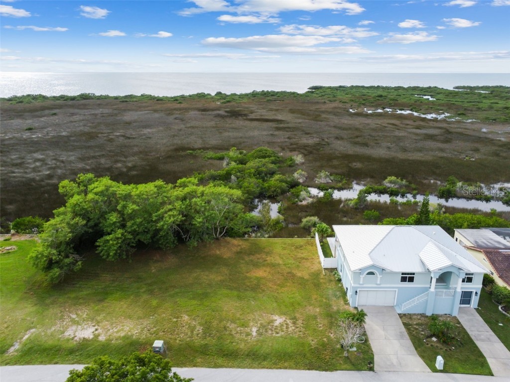 Southwind Drive Hudson FL 34667 T3407844 image15