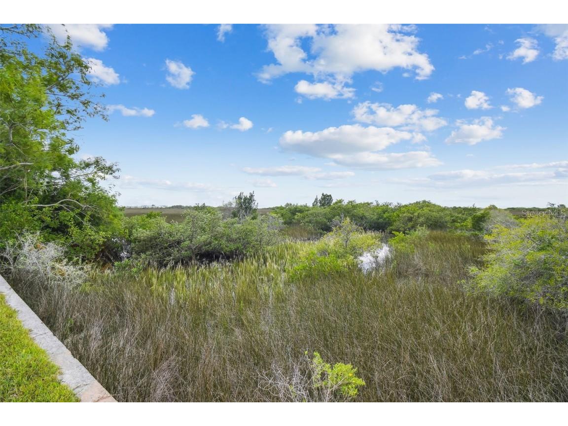 Southwind Drive Hudson FL 34667 T3407844 image7