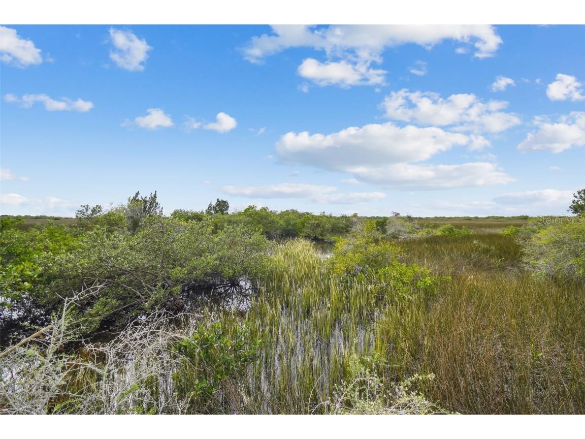 Southwind Drive Hudson FL 34667 T3407844 image9