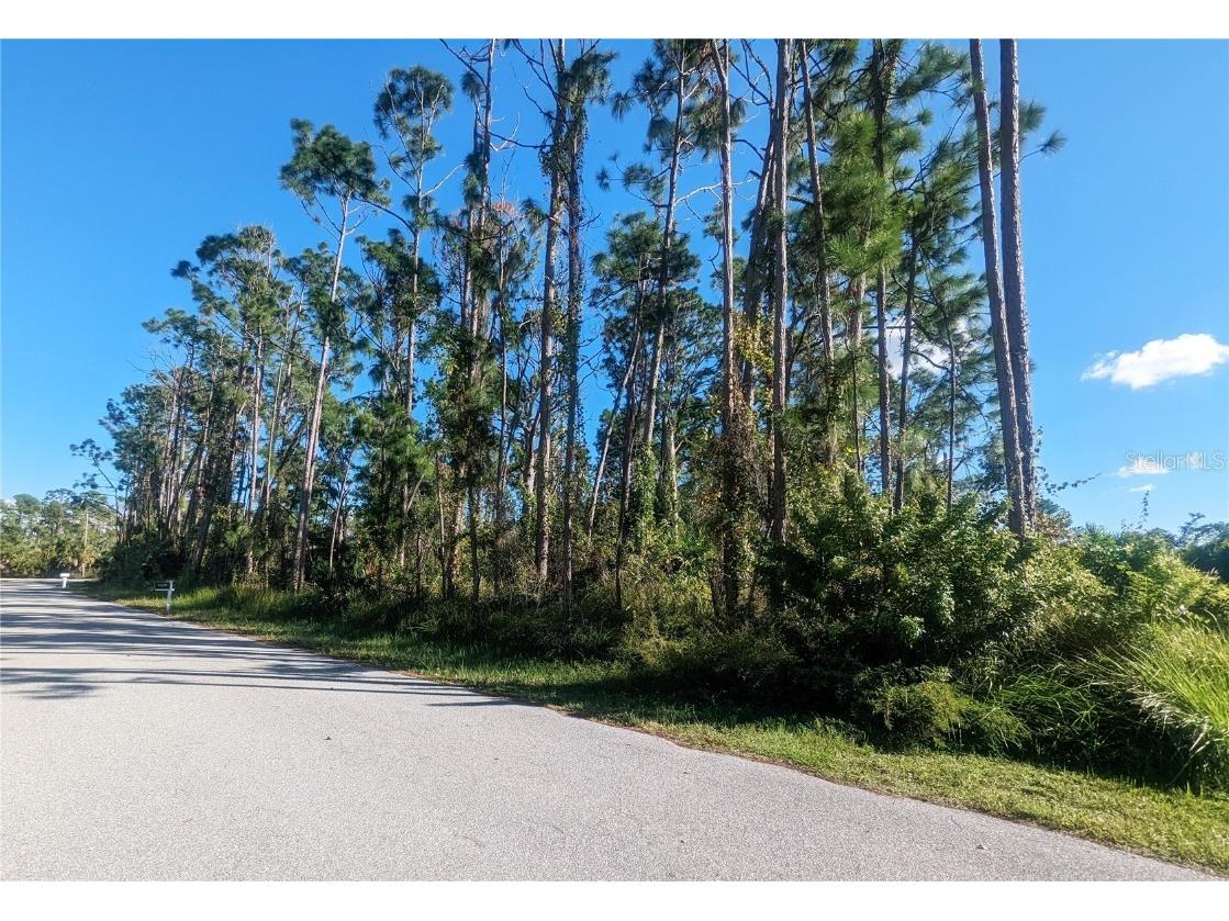 Spaniel Ave Lot #4 Avenue North Port FL 34288 C7483463 image1