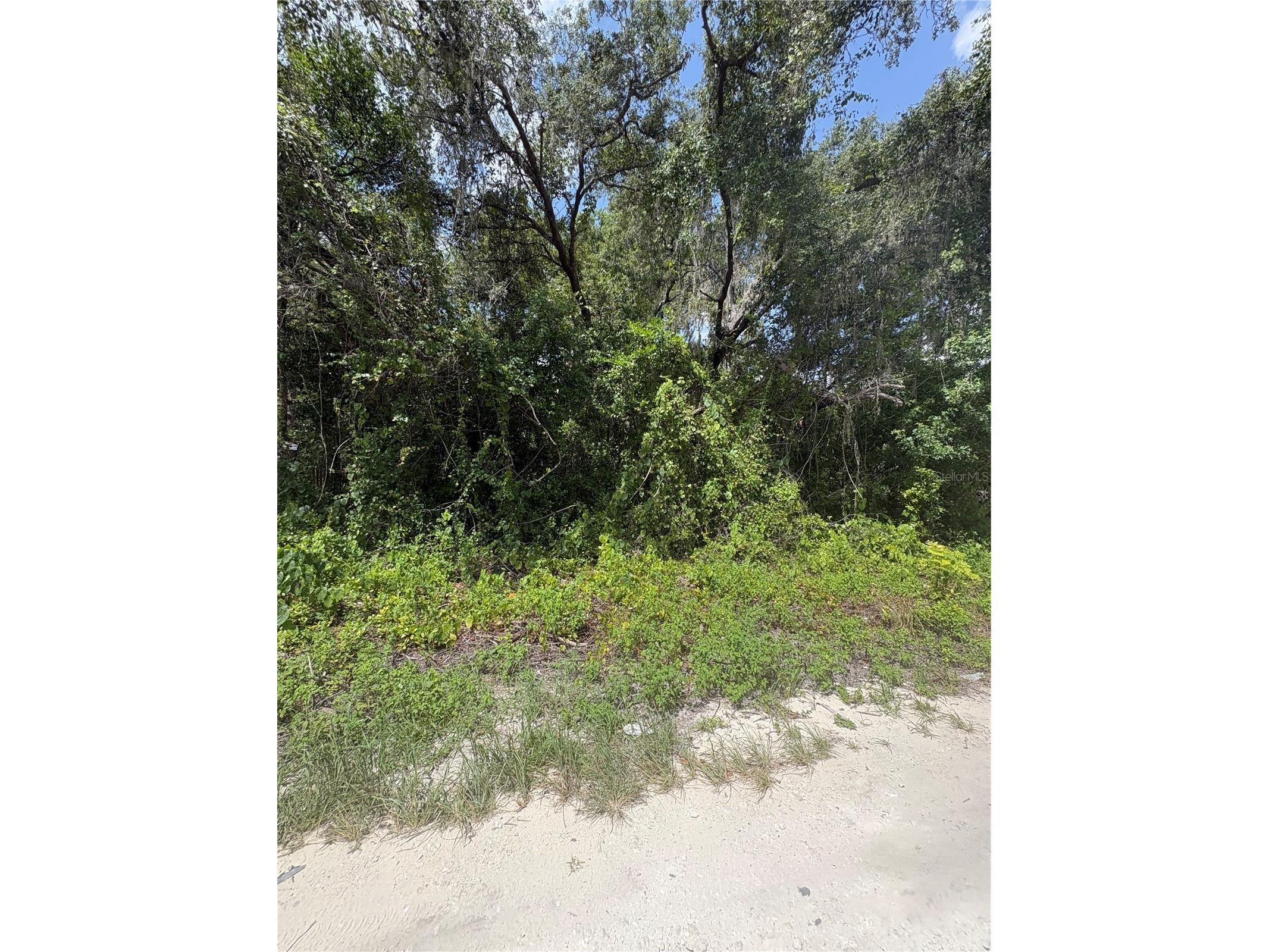 Spare Drive New Port Richey FL 34654 W7887522 image1