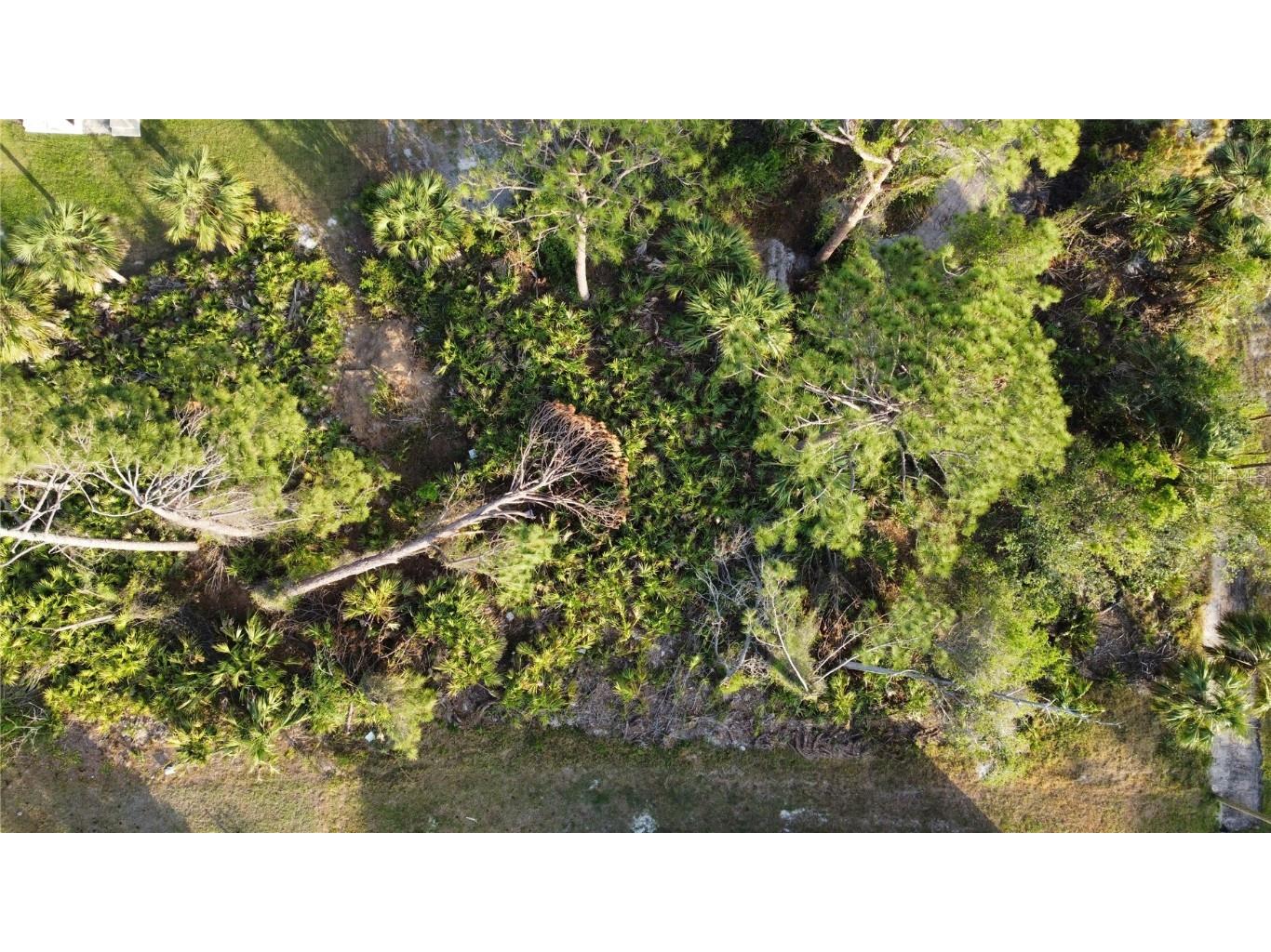 Sparkle Lane North Port FL 34286 C7507469 image3