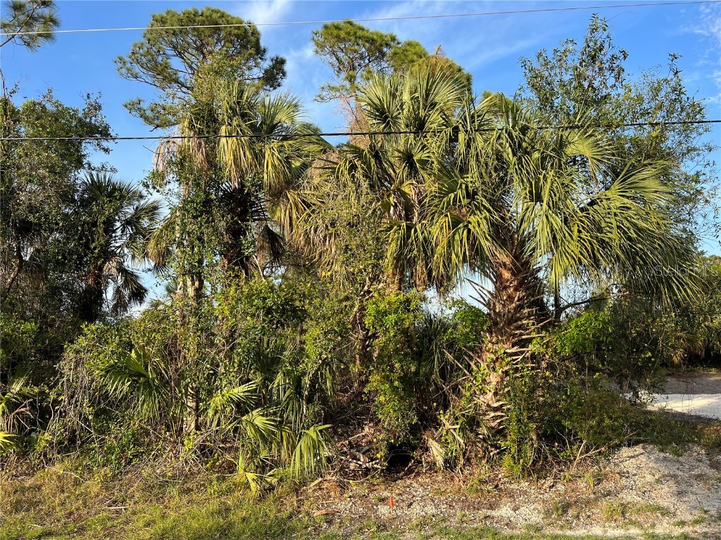 Sparkle Lane North Port FL 34286 C7507469 image5