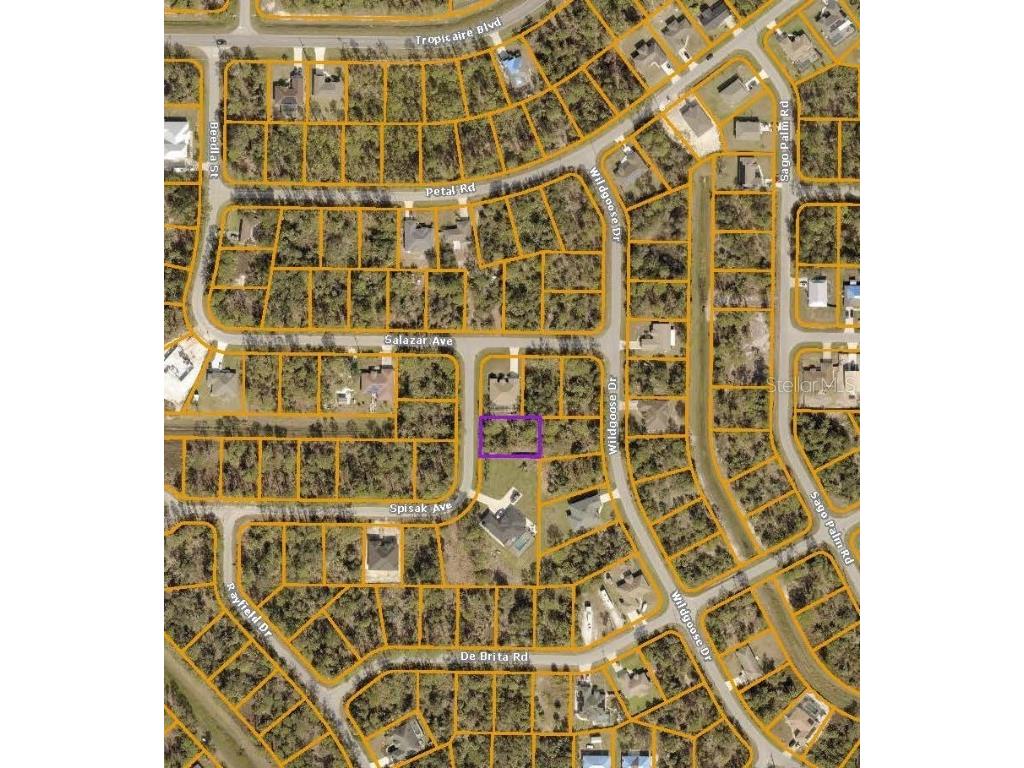 Spisak Avenue North Port FL 34291 D6134438 image1