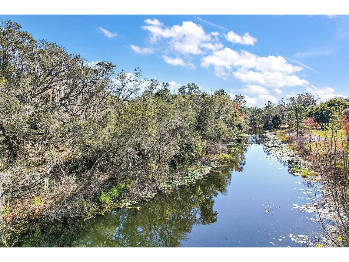 Splendid Oaks Lane Tavares FL 32778 A4562335 image1