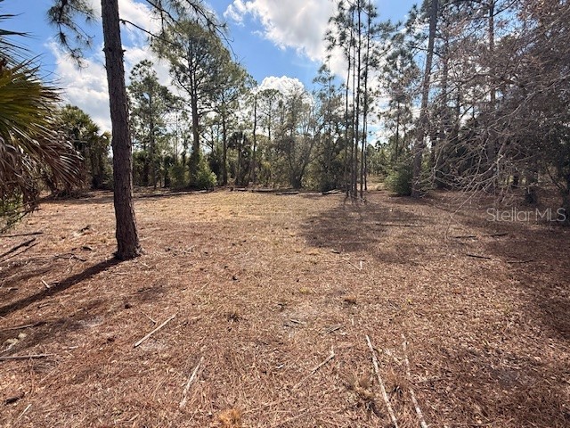 Spoonhill Road North Port FL 34291 N6143438 image10