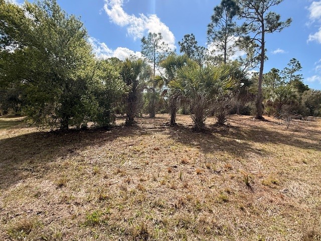 Spoonhill Road North Port FL 34291 N6143438 image11