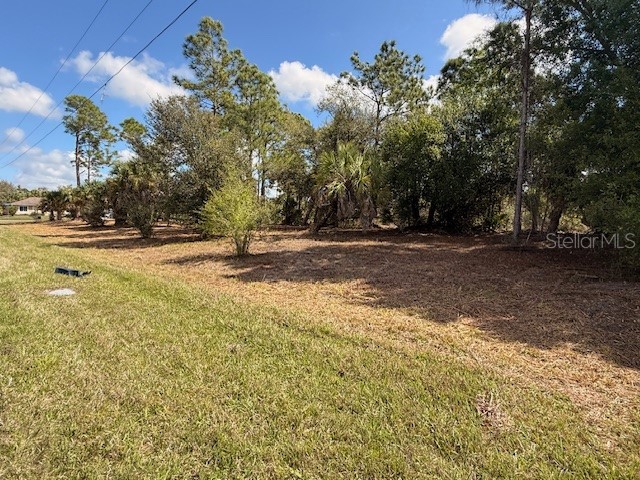 Spoonhill Road North Port FL 34291 N6143438 image4