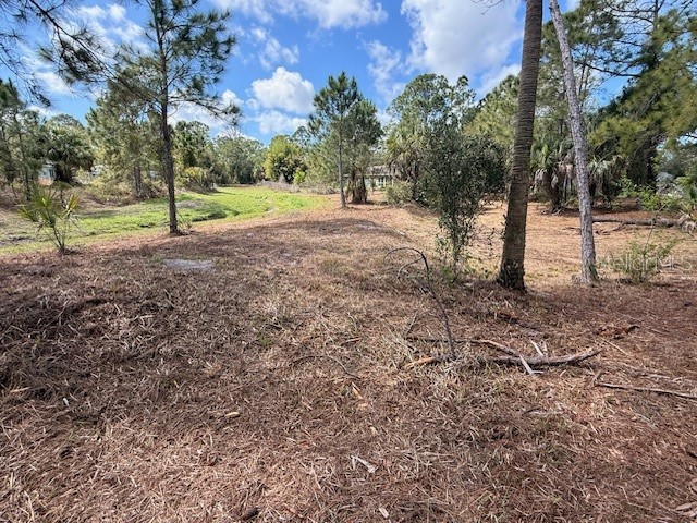 Spoonhill Road North Port FL 34291 N6143438 image6