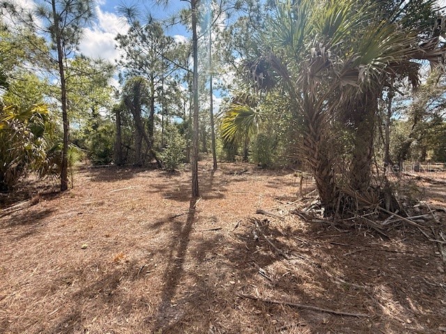 Spoonhill Road North Port FL 34291 N6143438 image7