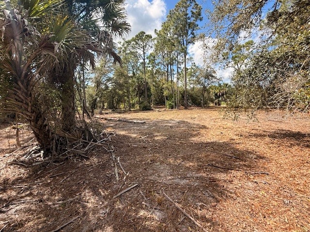 Spoonhill Road North Port FL 34291 N6143438 image8