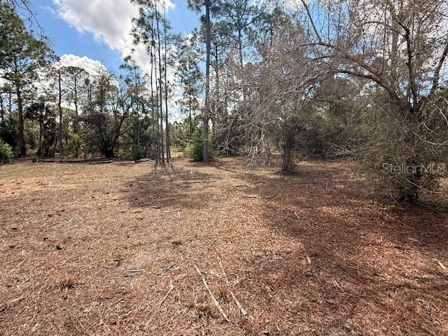 Spoonhill Road North Port FL 34291 N6143438 image9