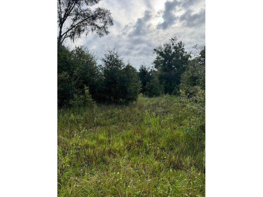 Sportsman Trail Lakeland FL 33809 L4947939 image1