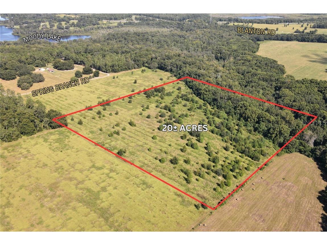 Spring Branch Road Dade City FL 33523 T3552795 image1