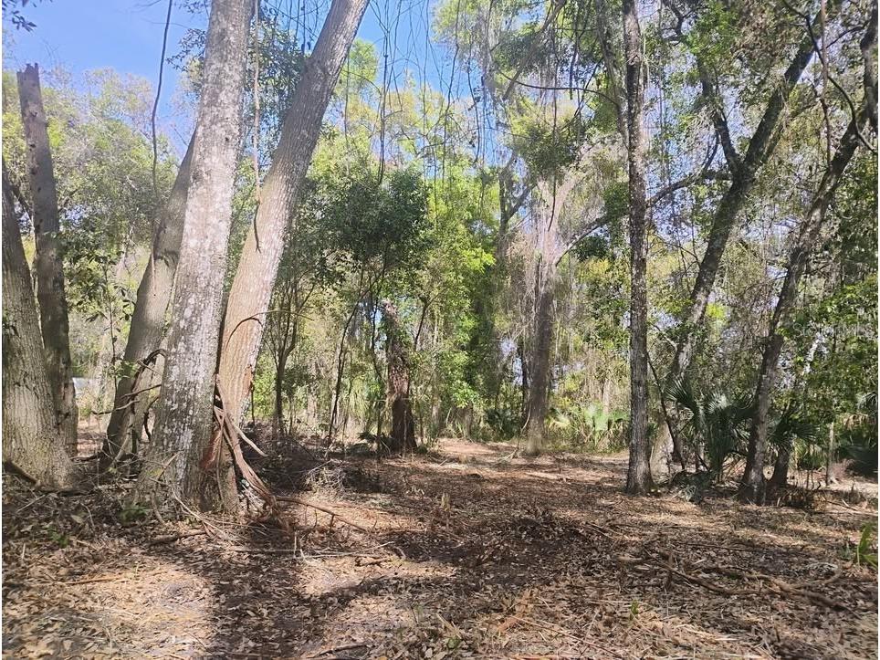 Spring Garden Ranch De Leon Springs FL 32130 A4692229 image2