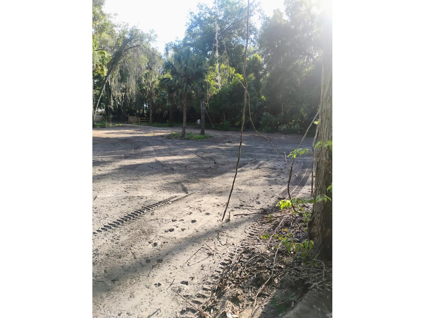 Spring Garden Ranch De Leon Springs FL 32130 A4692229 image4