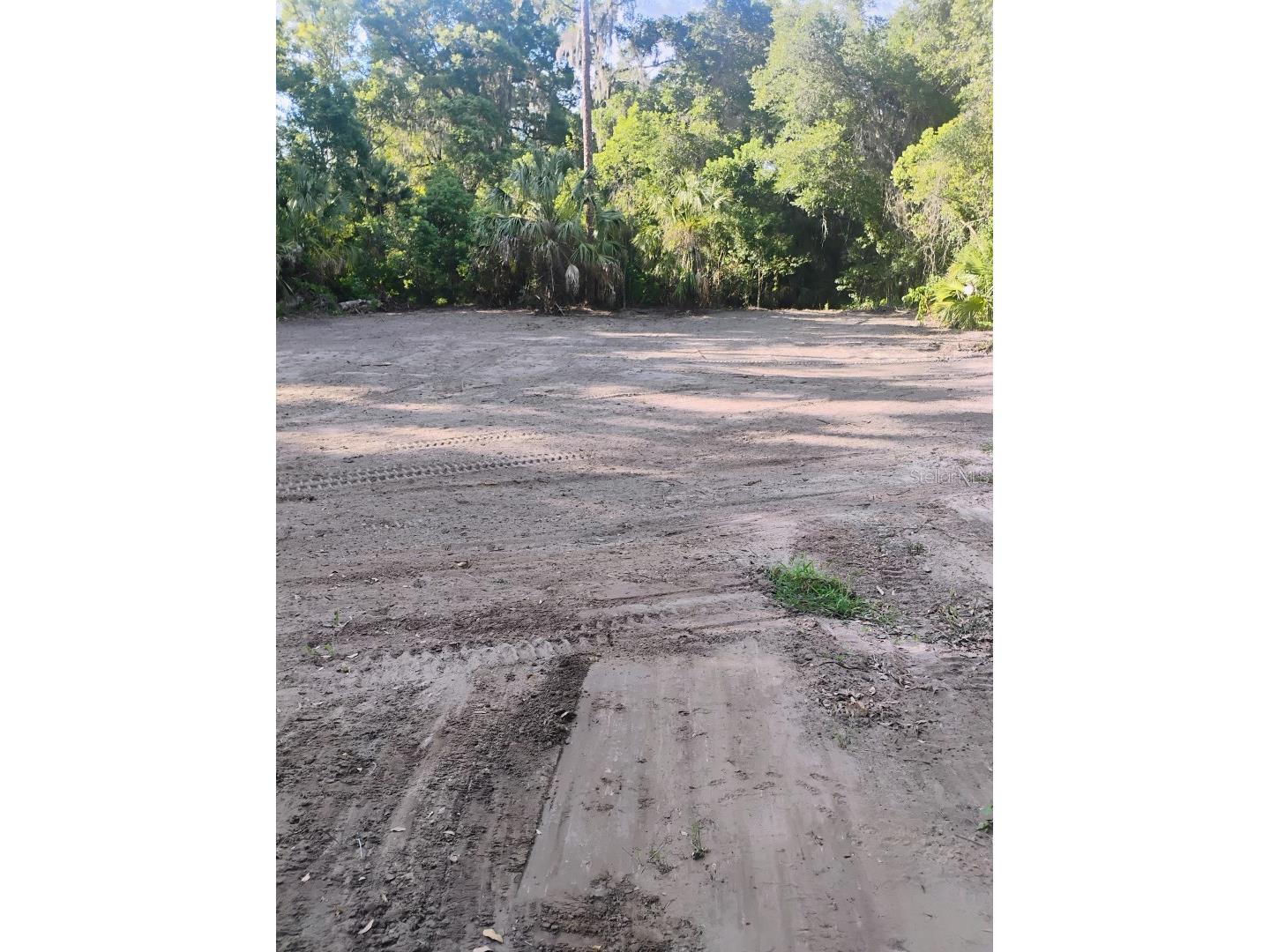 Spring Garden Ranch De Leon Springs FL 32130 A4692229 image5