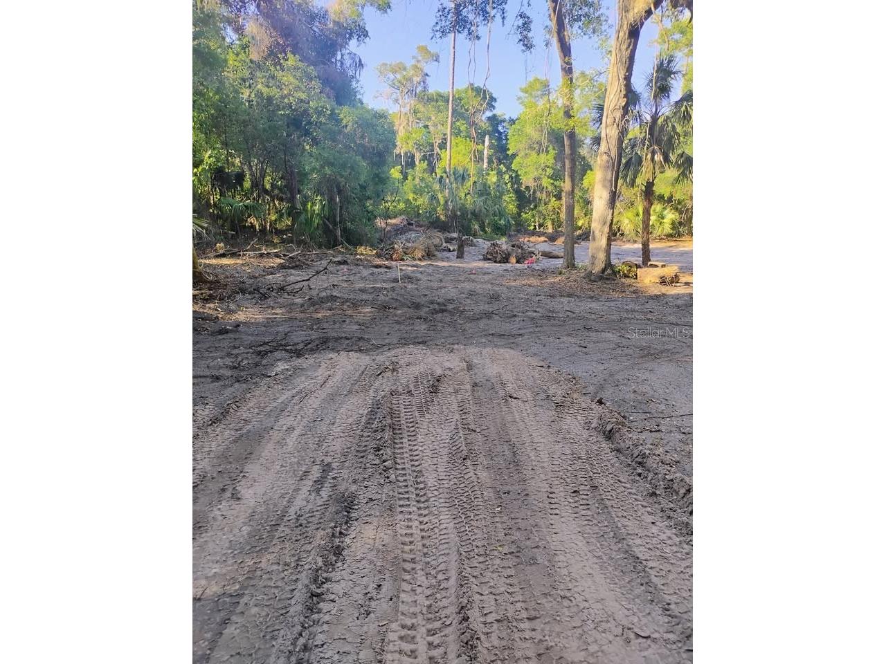 Spring Garden Ranch De Leon Springs FL 32130 A4692229 image7