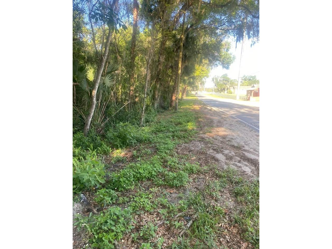 Spring Garden Ranch De Leon Springs FL 32130 A4692229 image8