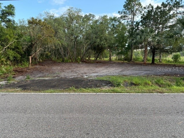 Spring Garden Ranch Rd De Leon Springs FL 32130 V4949100 image1