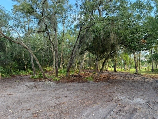 Spring Garden Ranch Rd De Leon Springs FL 32130 V4949100 image2