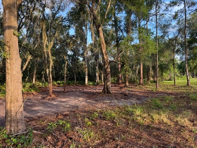 Spring Garden Ranch Rd De Leon Springs FL 32130 V4949100 image3