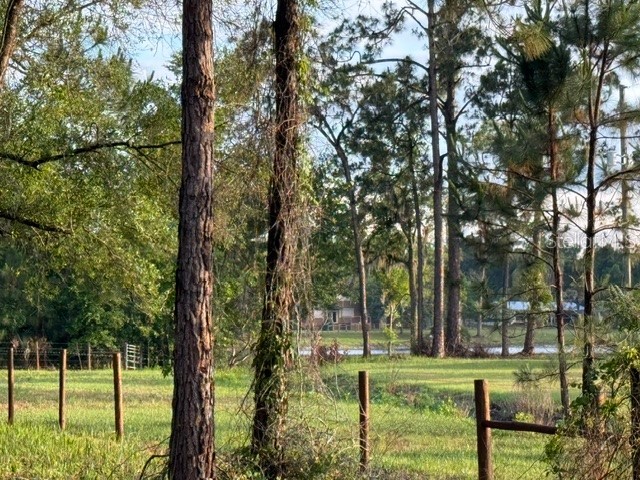 Spring Garden Ranch Rd De Leon Springs FL 32130 V4949100 image4