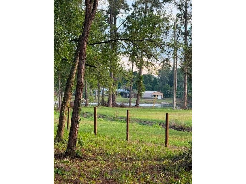 Spring Garden Ranch Rd De Leon Springs FL 32130 V4949100 image5