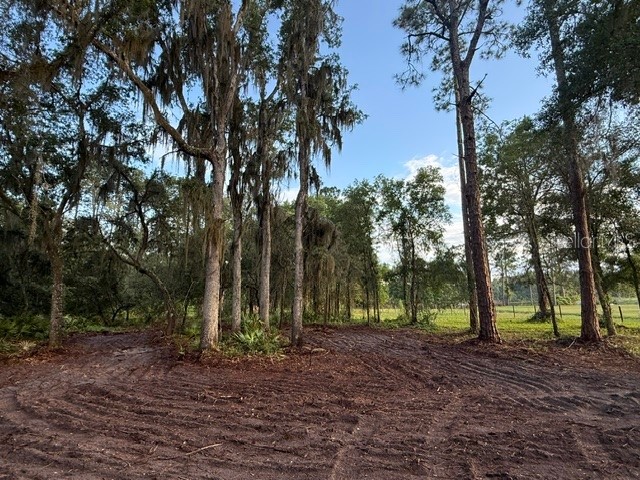 Spring Garden Ranch Rd De Leon Springs FL 32130 V4949100 image6