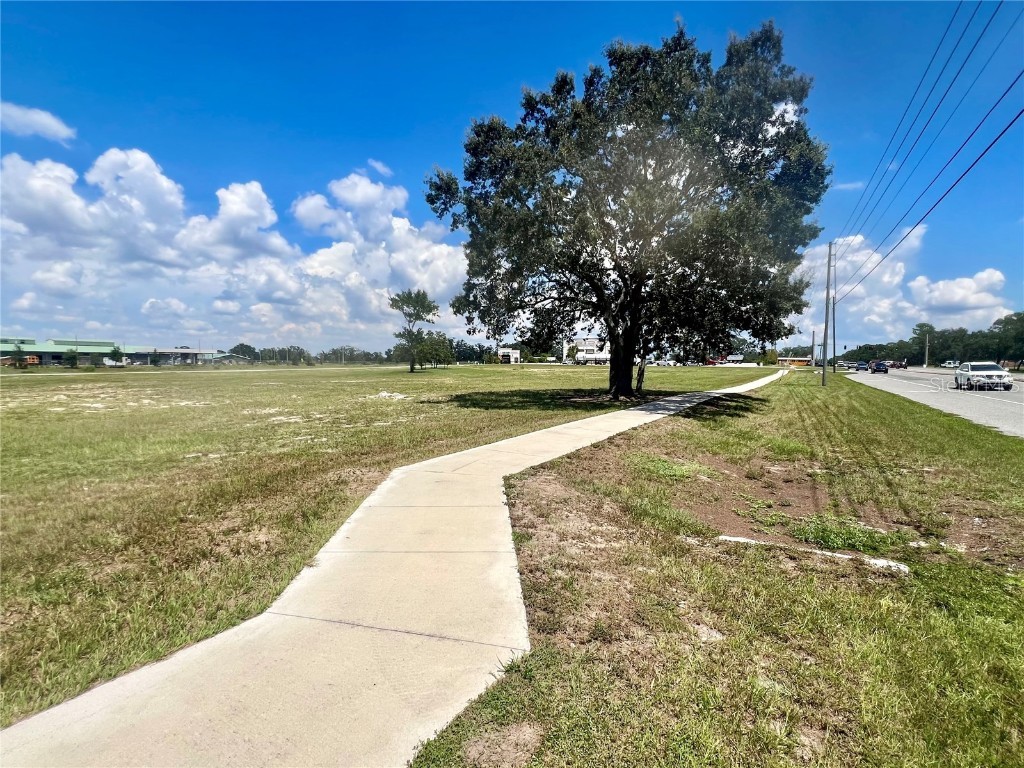 Spring Hill Drive Spring Hill FL 34606 TB8420597 image4