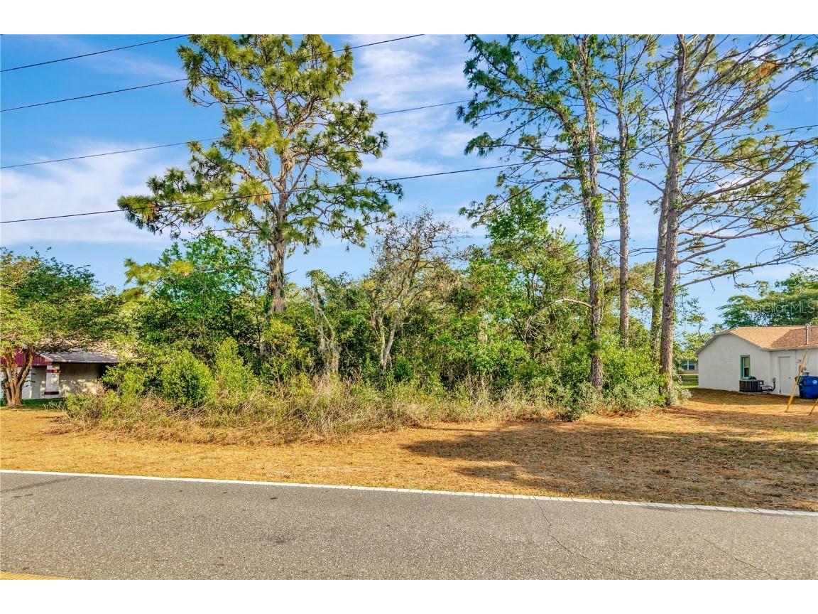  Spring Hill FL 34609 U8201944 image1