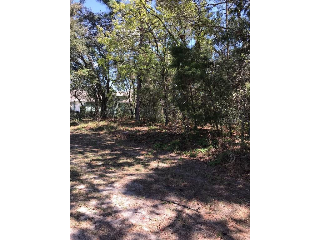  Spring Hill FL 34609 W7843600 image1