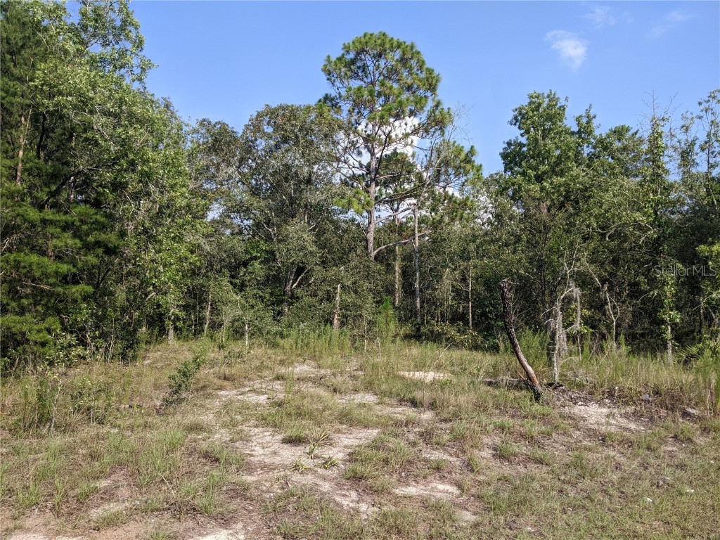  Spring Hill FL 34610 O6159914 image1