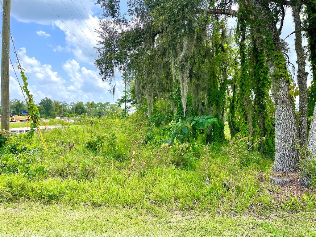  Spring Hill FL 34610 U8171999 image1